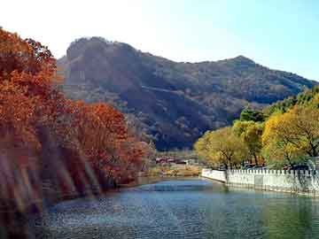 新澳天天开奖资料大全旅游团，百事激浪激活码